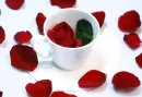 Red Petals