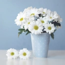 White Flowers