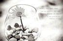 Beautiful Words