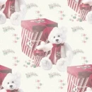 bears
