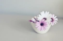Cute Flowers