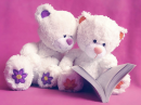 Teddy Love