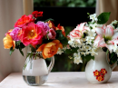 Roses and Jasmine
