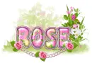 Rose
