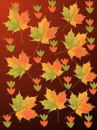 fall leaves