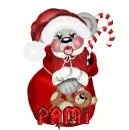 pami