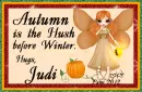 Judi