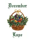 December basket - Lupe