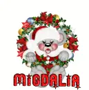 migdalia