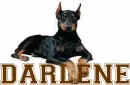DARLENE