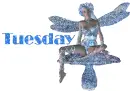 Tuesday