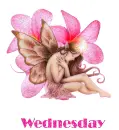 Wednesday