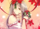 Poinsetta Present