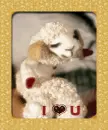 Lambchop