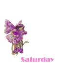 Saturday