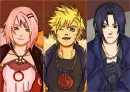 Team 7