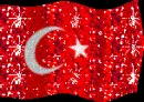 Turkish Flag
