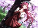 Under the Sakura Trees