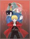 Fullmetal Ninja