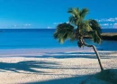 anakena beach