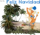 Feliz Navidad en la playa