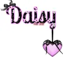 Daisy