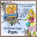 Pami - xmas