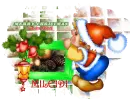 Mileidi
