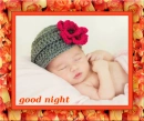 good night 