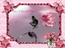 have a sweet day