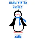 Winter Penguin - Jane