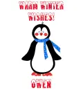 Winter Penguin - Owen