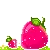 strawberries