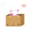 kitty n box