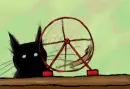 cat stops mouse wheel