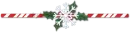 Christmas Divider
