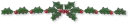 Christmas Divider