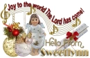 Joy to the World - Sweetlynn