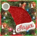 Jaya