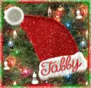 Tabby