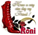 Boot with Bling - Roni