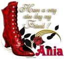 Boot with Bling - Ania