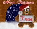 Tracey