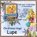 Lupe