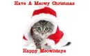 Have A Meowy Christmas/ Happy Meowlidays
