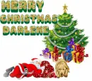 HAPPY HOLIDAYS DARLENE