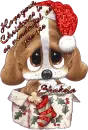 Cute Puppy ~ Shakela