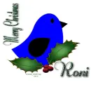Roni - Bird - Berries