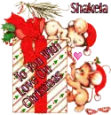 Love On Xmas ~ Shakela