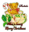 Xmas Bear ~ Shakela